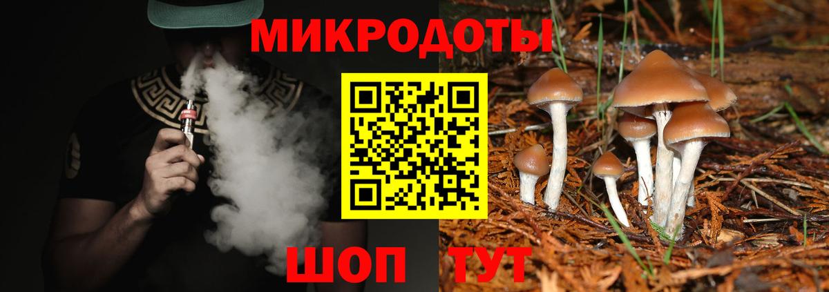 Псилоцибиновые грибы MAGIC MUSHROOMS  сколько стоит  Армавир  Вход с VPN 